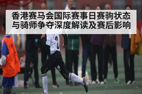 香港赛马会国际赛事日赛驹状态与骑师争夺深度解读及赛后影响